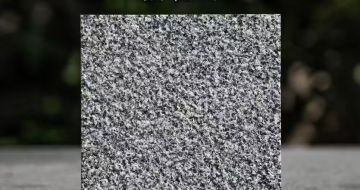 嘉兴 芝麻黑荔枝面