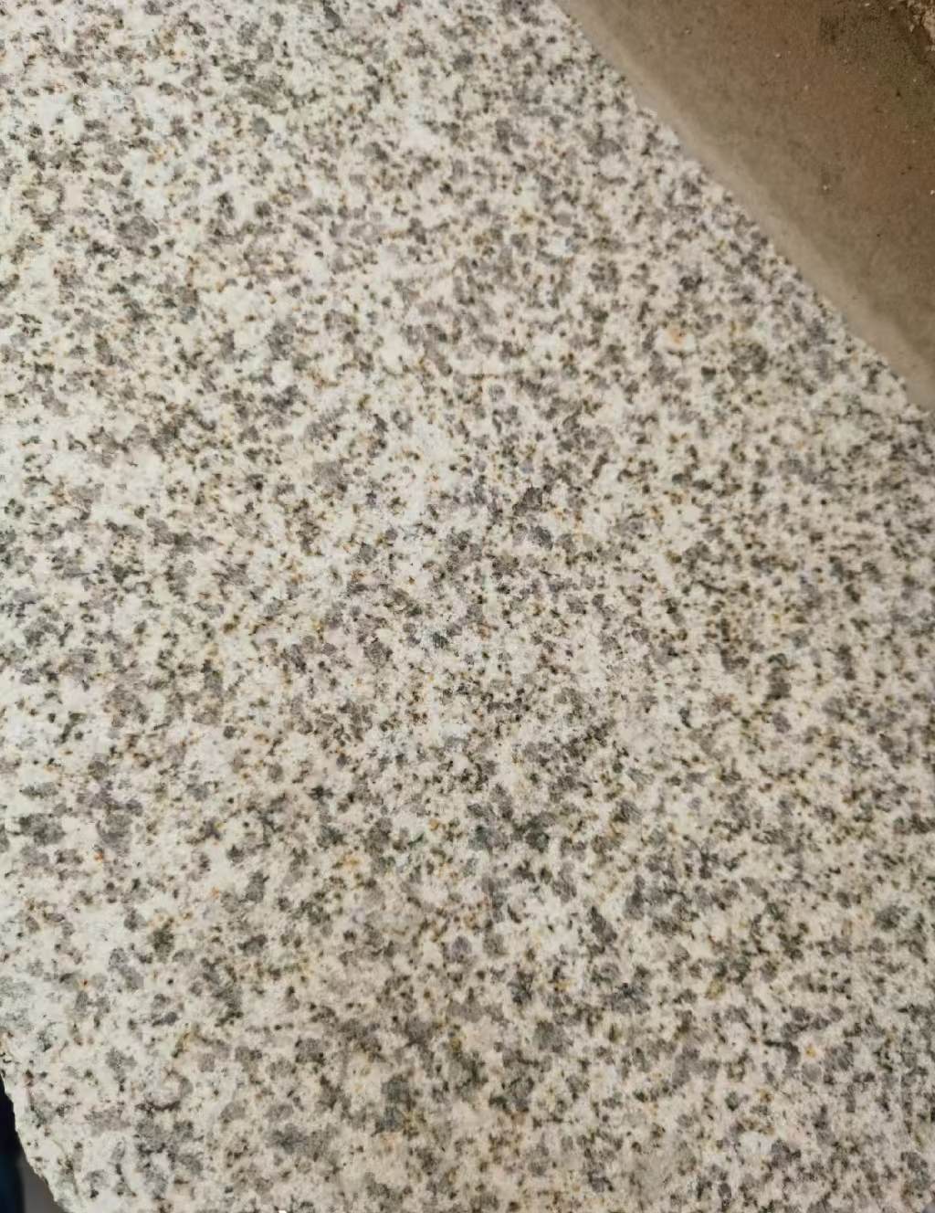 嘉兴 黄金麻中黄光面