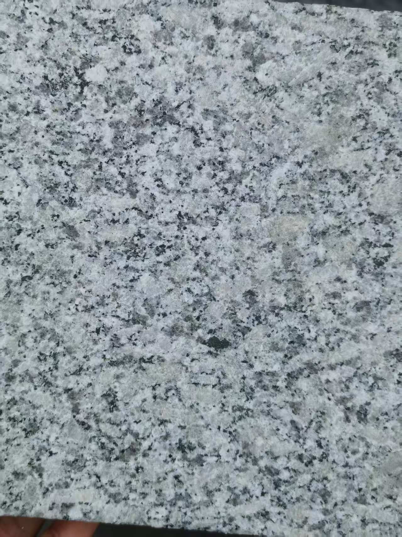 嘉兴 芙蓉白火烧面