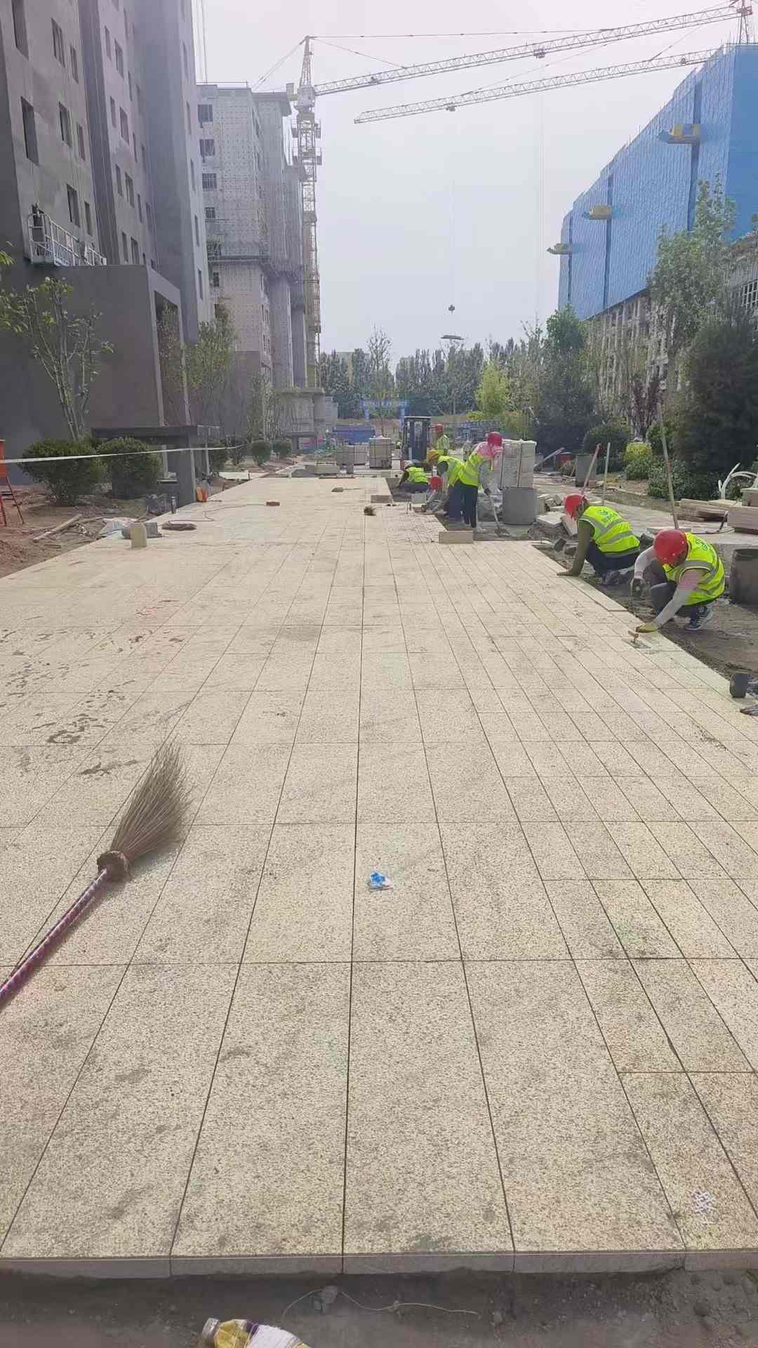 嘉兴黄金麻荔枝面地铺案例